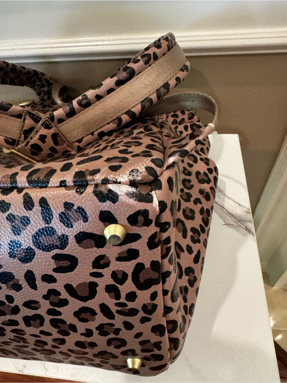 Freshly Picked Leopard-Print Baby Bag- Backpack